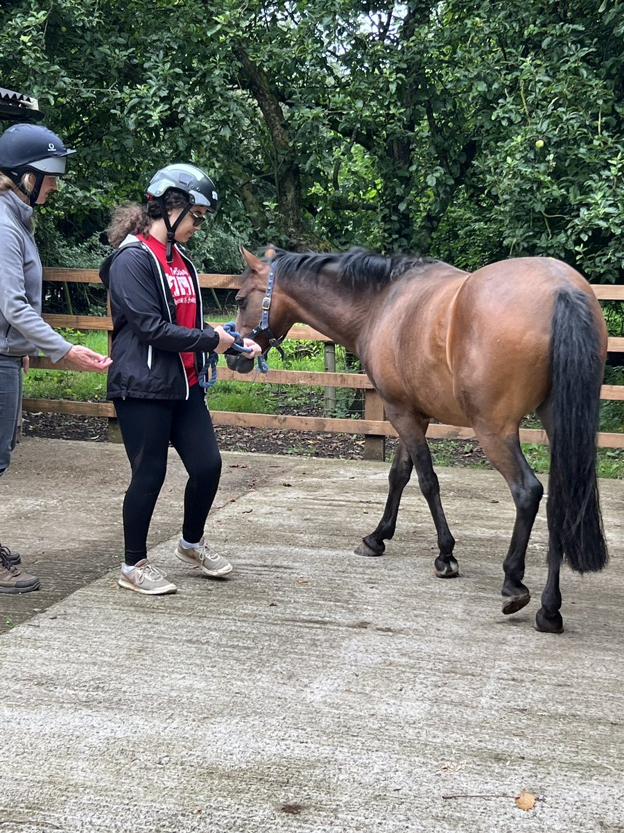 NCStateVetPAC's tweet photo. @NCState students perform equine gait analysis &amp; identify physiotherapy modalities for supporting recovery @HarperAdamsUni! Very full days of lectures, labs and assessments. @NCSUStudyAbroad @NCStateCALS https://t.co/OXCf1QsfZK