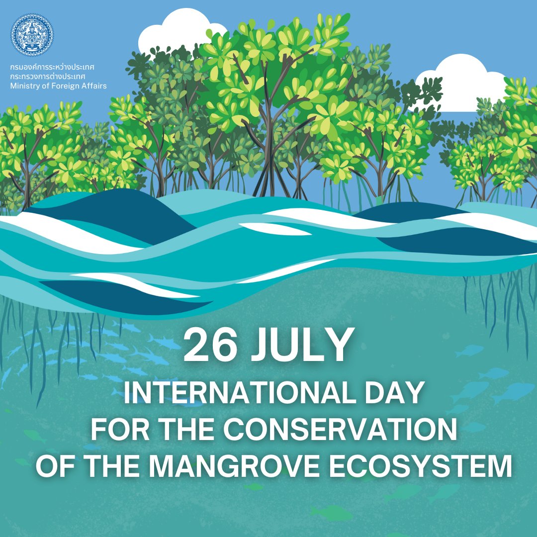 “Mangroves are often called the ‘ nurseries of the sea,’ because so many baby fish and crustaceans live among their roots.” – NOAA Fisheries

Where #lifeonland meets #lifebelowwater. #SDGs 
🦀🐠🐟🦐🌱🌳🇹🇭