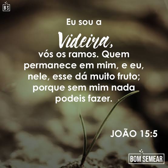 Nelsonjosefilho's tweet photo. "Ah, Israel, se me ouvires!"
Salmos 81:8
Nunca podemos estar tão ocupados que venhamos a negligenciar nossa comunhão com Deus!
Nada, nenhum projeto terreno, nem mesmo meu pecado pode interromper minha ligação com a videira!
A cada manhã decida religar-se!
#Recomece
#Comunhão https://t.co/fIiGF0WTaB