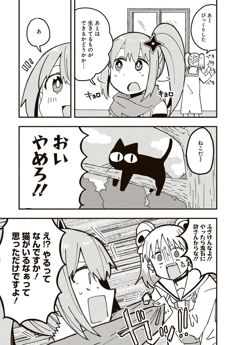 (3/6) 