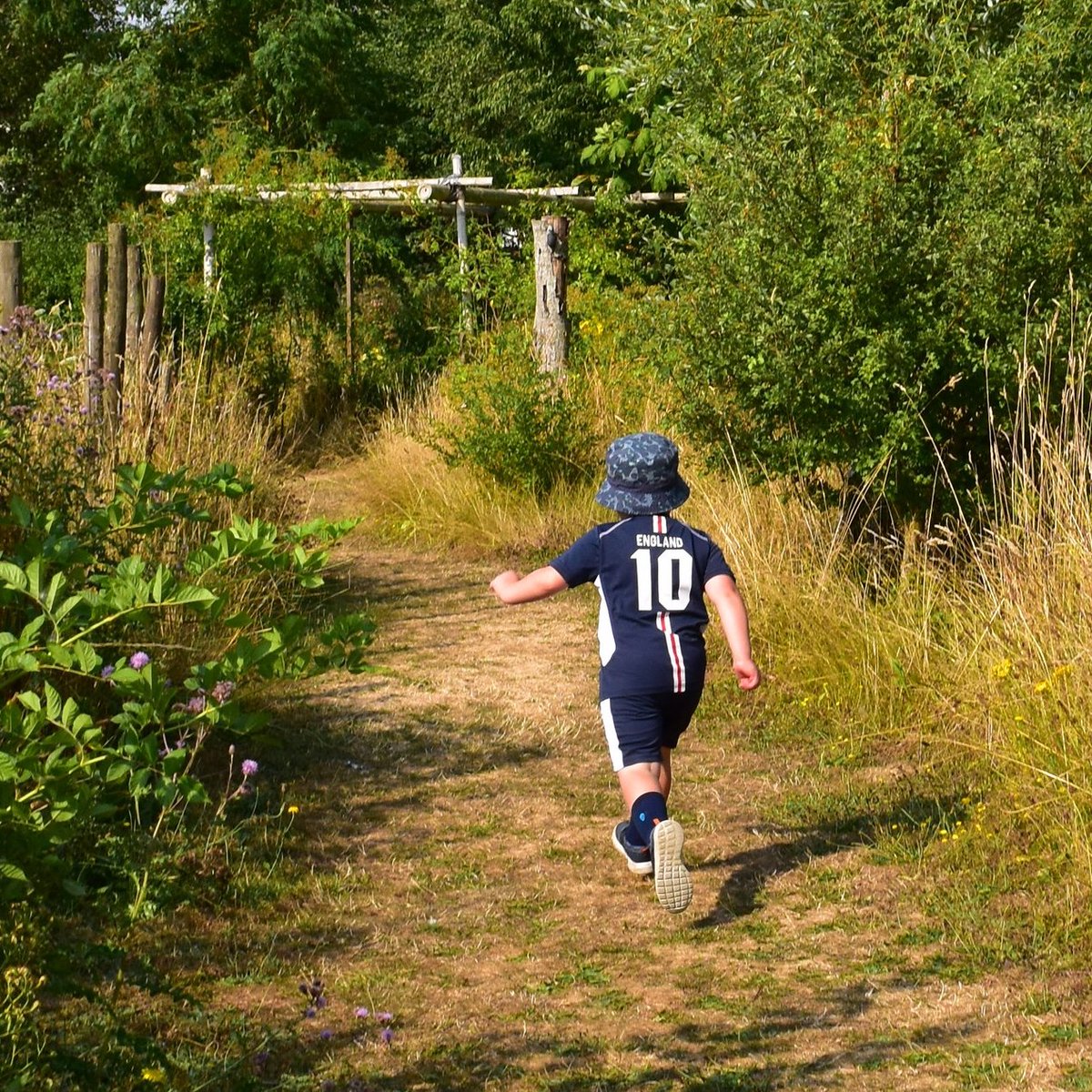 PrimaryTimesNorfolk tweet media