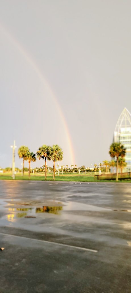 RustysInThePort's tweet photo. Find your rainbowโฆ at Rusty's at the Port!๐๐๐ซ๐๐ค๐ง๐ข๐ฌ #mothernature #stormy #findyourrainbow #stormtime #rainbow #storms #rainbows #spacecoast #spacecoastskies #rustysseafood https://t.co/XPVriyTFHr
