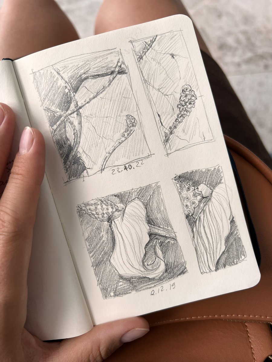 eka_koma's tweet photo. Good morning! 🌞 
what are you doing while waiting something? 
My 3 hour waiting today and sketching. https://t.co/GrkBm5mgsT