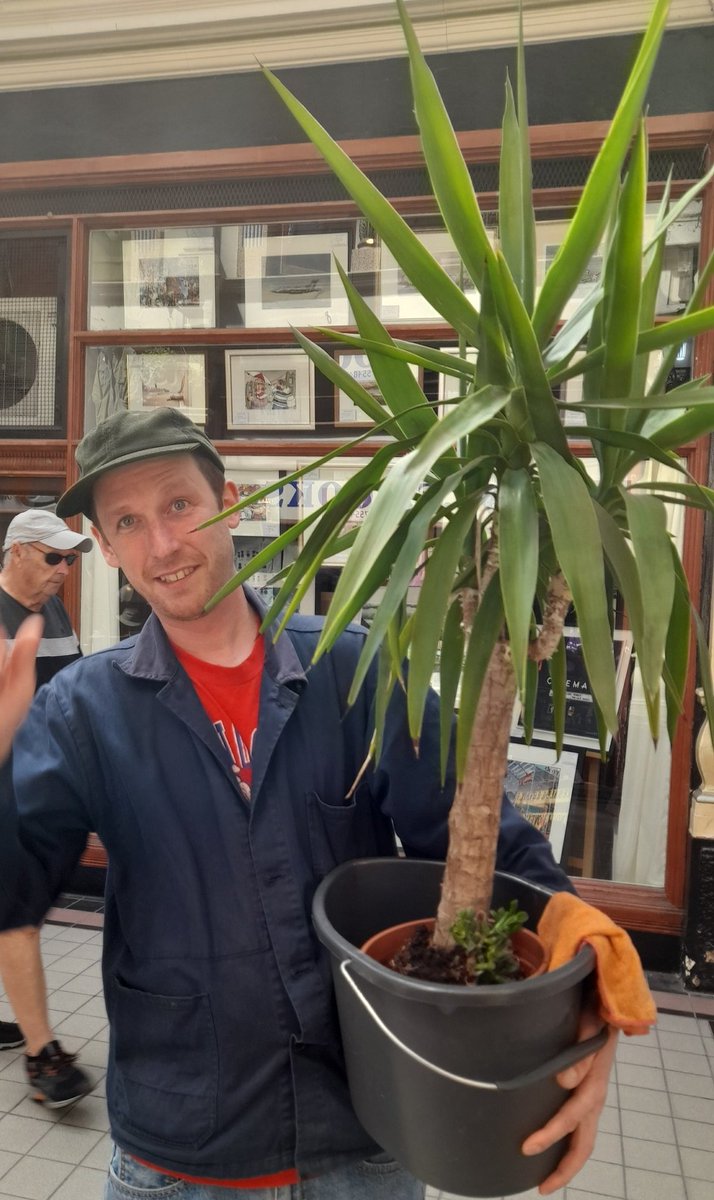 Hepworth’s Arcade tweet media