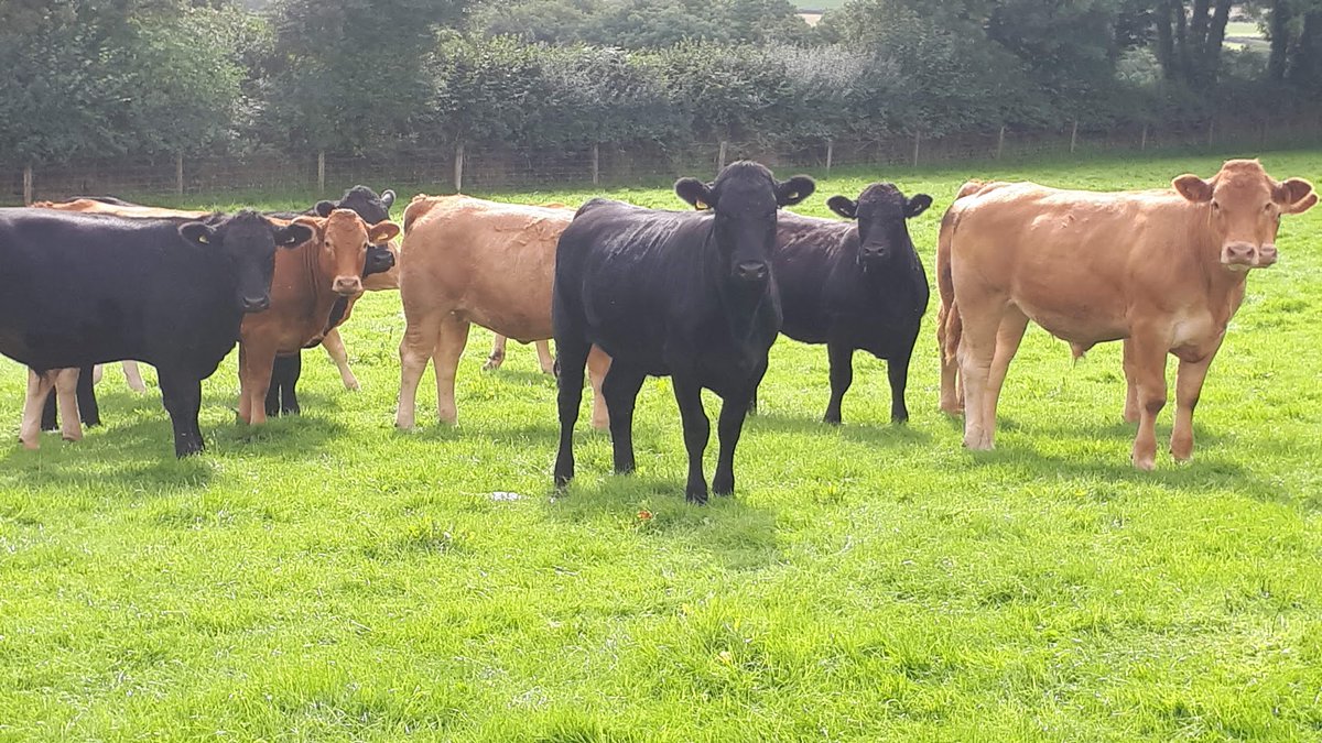 OLMC Finished Stock report 👉olmc.co.uk/blog/