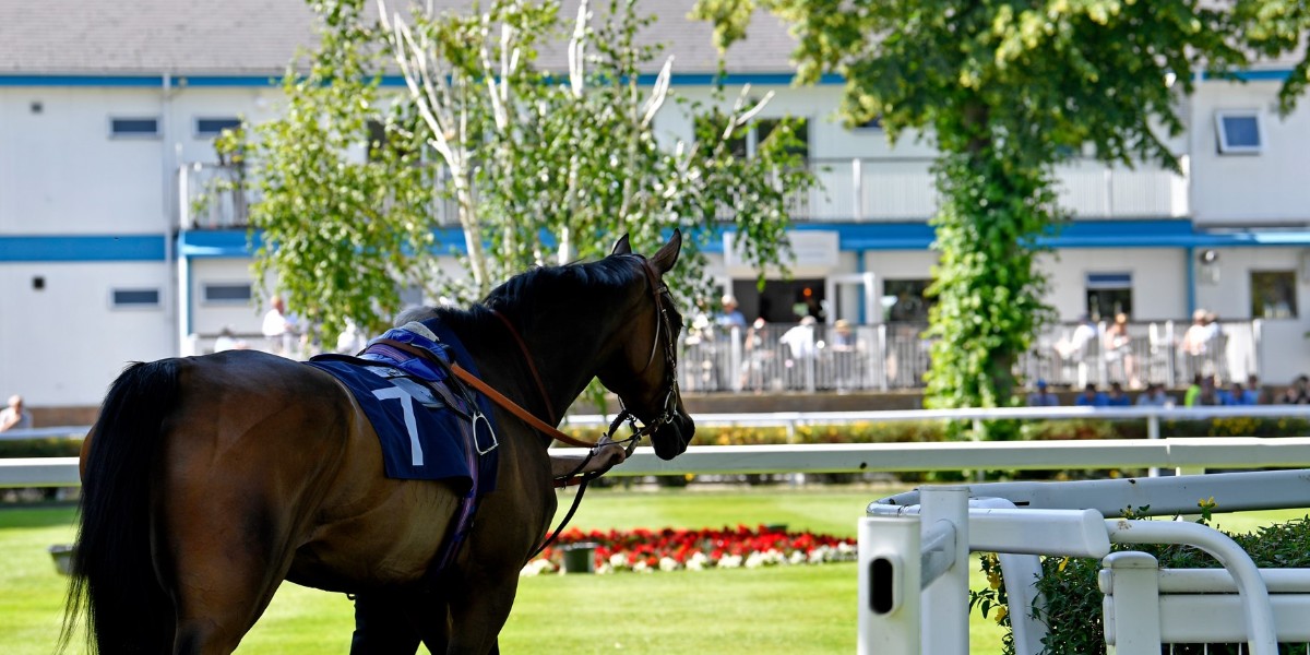 Windsor Racecourse tweet media