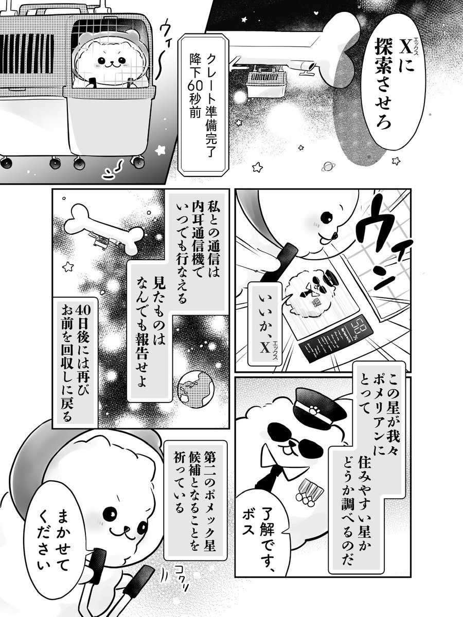 pomeranianX's tweet photo. （2/3） https://t.co/ZAYNJW0CXp