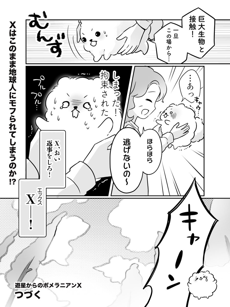 pomeranianX's tweet photo. （3/3） https://t.co/ZbsbjCf6xm