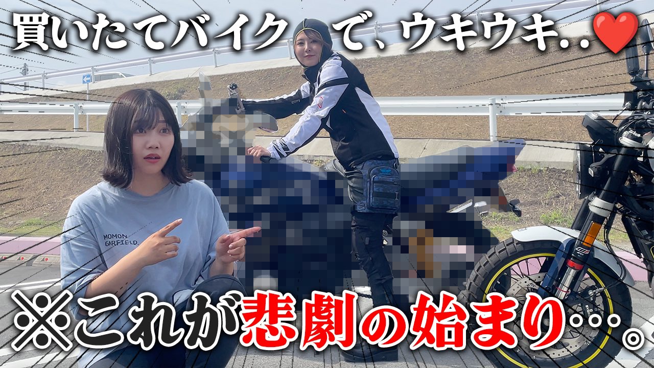 お値下げ！【希少!!】　ツッパリ少年少女カタログ　ヨロシク気合本！ Amazon.co.jp: ツッパリ少年少女カタログヨロシク気合本参上