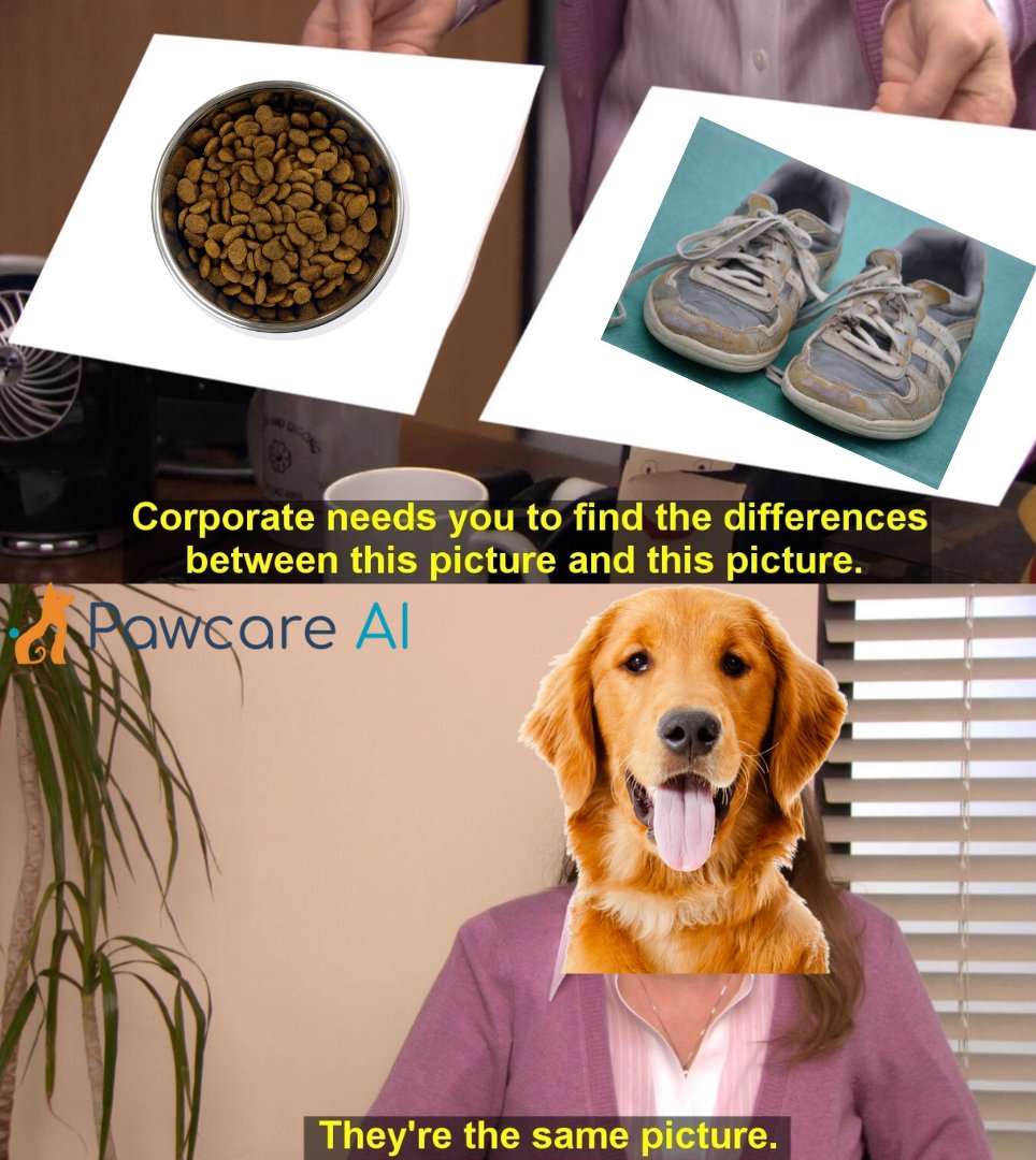 PawcareAI's tweet photo. To chew or not to chew, that's the question! When your dog sees a 5-star meal in every old shoe! Keep their health in check with our app! ๐พ
#PawcareAI #PetHealth #Dogmemes #DogLovers #VetCheckup #HealthyPets https://t.co/afIQ4C6lsN