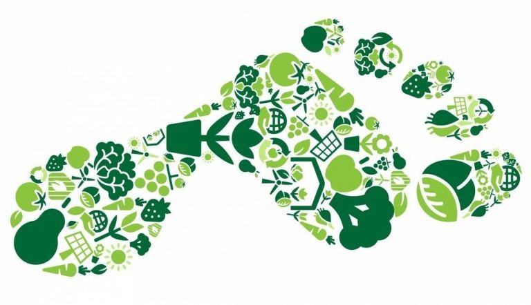 Which flowers or plants are better for the environment? Read more about FloriPEFCR, that is set to become the standard for environmental footprint calculations.
#sustainability
royalfloraholland.com/en/news-2023/w…