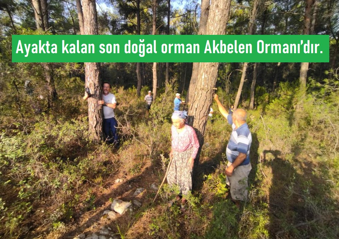 ÇÖED; Yakan, yıkan, yok eden ve genişleyen yangınlar değil, sistemdir habereguven.com/coed-yakan-yik… <a href="/CukurovaOED/">Çukurova Ögretim Elemanları Derneği</a> #AkbeleneDokunma #AkbeleneDokunmayın #AkbelenOrmanınıVermeyeceğiz #AkbeleneDokunma