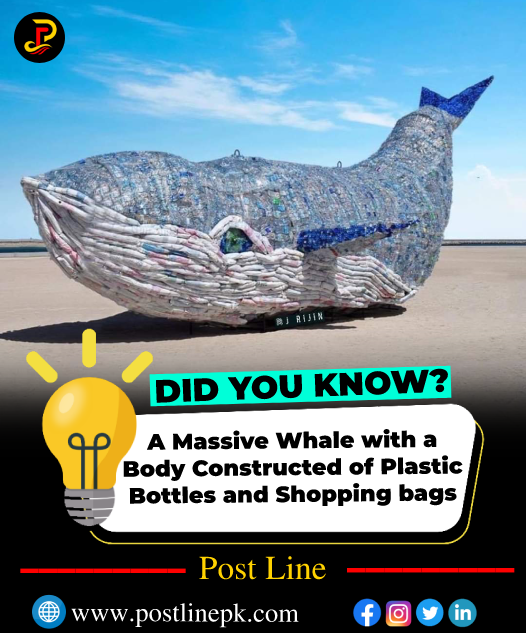 postlinepk's tweet photo. A Massive Whale with a Body Constructed of Plastic Bottles and Shopping bags.
.
.
.
.
.
#postlinepk #postline #DidYouKnow #didyouknowfacts #DidYouKnowThis #Pakistan #today #trending https://t.co/RJBGcYqek5