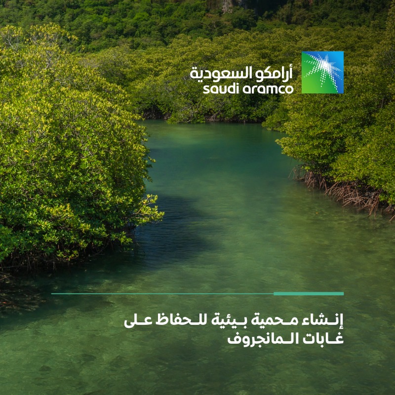 SGISaudi's tweet photo. يعدّ الحفاظ على غابات المانجروف عاملاً أساسياً لضمان:

✅احتجاز الكربون
✅منع تآكل السواحل
✅توفير الموائل البحرية

في اليوم الدولي لصون النظام البيئي لغابات #المانجروف، تعرّف أكثر على مبادرات حماية أشجار المانجروف في المملكة هنا ⬇️