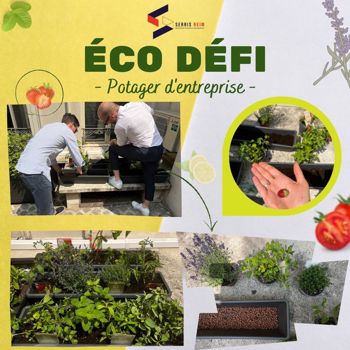 SerrisReim's tweet photo. #RSE #Ecodéfi #DeveloppementDurable🍓 
Les équipes de @SerrisReim ont la main verte pour animer les éco défis ! 🌱🌿🍅
un nouveau challenge a été lancé avec la  « création d’espaces verts » dans nos locaux parisiens.
A suivre ❗️ https://t.co/NxnZa5vbks