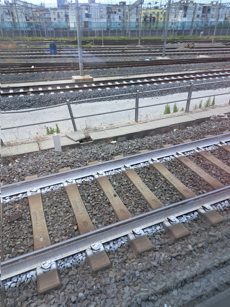 Govert de With tweet media