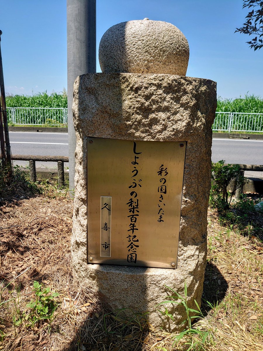 oideyo_shobu's tweet photo. 今年も梨の時期が来ましたね。埼玉北東部は梨の特産地ですが、持ち込んだのは菖蒲町台の五十嵐八五郎氏（1854-1927）です。水害に強い換金作物ということで、栽培が広まったのだとか。

旧姓大久保だそうですが、五十嵐家の養子になり、510嵐85郎と数字が多くなった模様…（名前で遊ばない←） https://t.co/KL7FLQbdQq
