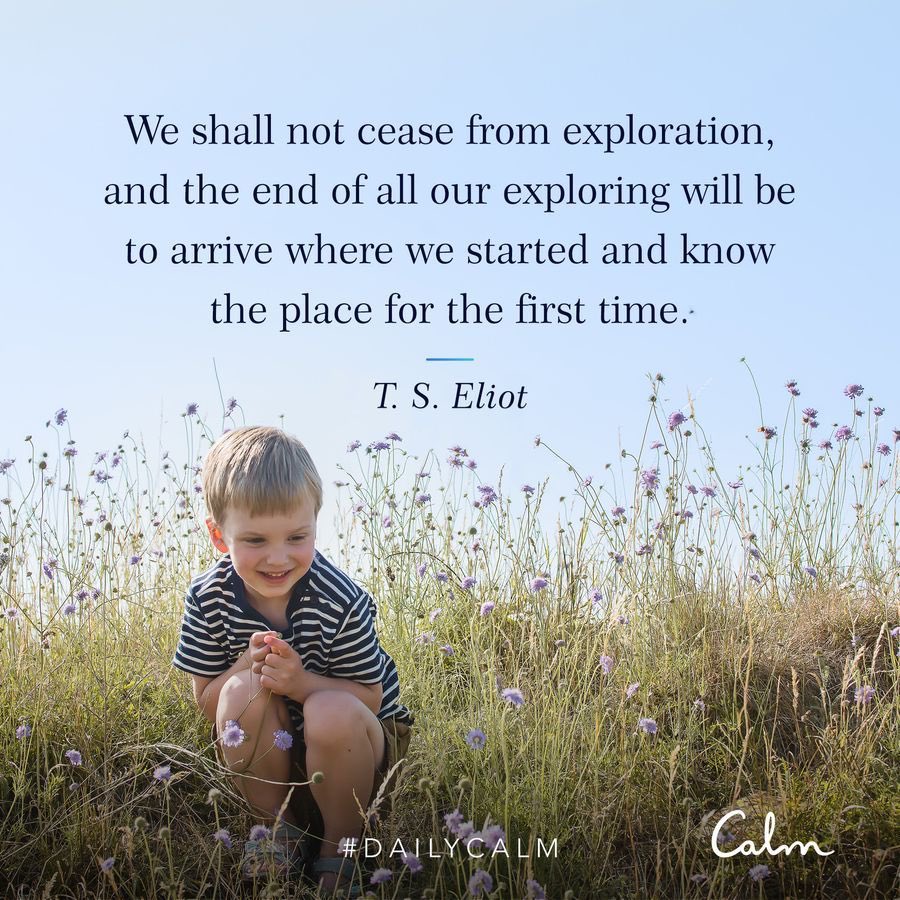 Daily Calm with ⁦@TamaraLevitt⁩ 
calm.com/player/2XZFNFi… @calm #meditation #mindfulness #beginnersmind