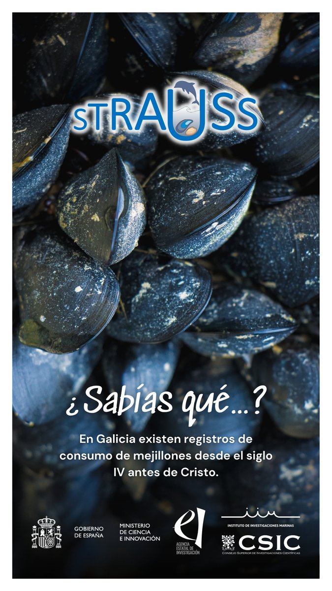 Proyecto STRAUSS (@straussproject) on Twitter photo ¿Sabías qué...?
En Galicia existen registros de consumo de mejillones desde el siglo IV antes de Cristo.
#STRAUSS #science #ciencia #climatechange #cambioclimático #ocean #oceano #mussels #research #ecology #ecología #pildorainformativa #divulgation #divulgación <a href="/IIM_CSIC/">Instituto de Investigacións Mariñas - CSIC</a> ¿Sabías qué...?
En Galicia existen registros de consumo de mejillones desde el siglo IV antes de Cristo.
#STRAUSS #science #ciencia #climatechange #cambioclimático #ocean #oceano #mussels #research #ecology #ecología #pildorainformativa #divulgation #divulgación <a href="/IIM_CSIC/">Instituto de Investigacións Mariñas - CSIC</a>
