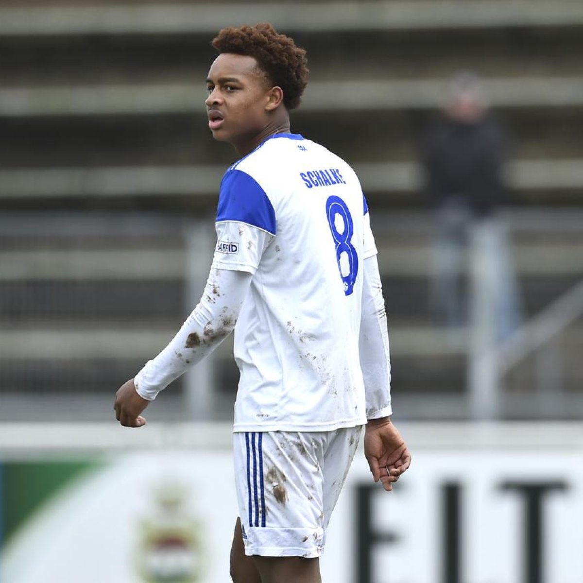 SchalkeZone tweet media