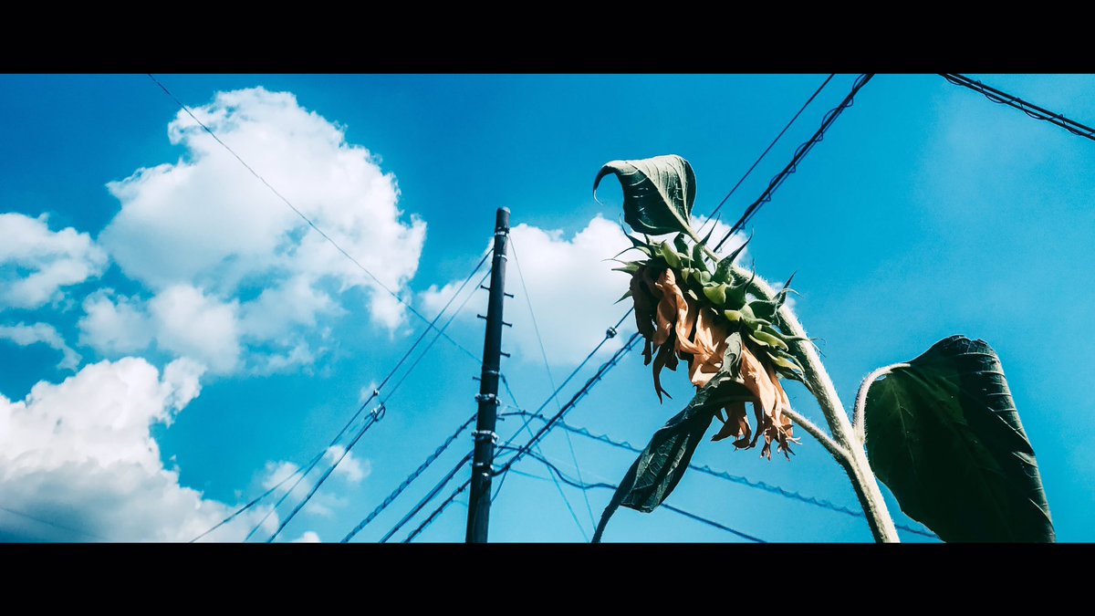 154f76_'s tweet photo. なつ【夏】
一年で最も暑い季節。
そして、一年で最も青い季節。 https://t.co/7tSv4jzprC