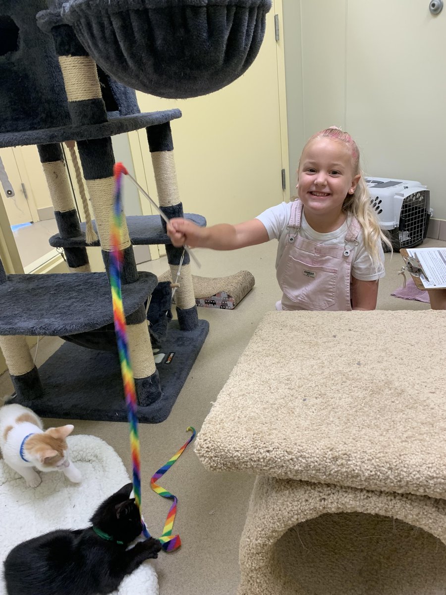 BurlHumane's tweet image. Thank you very much Harper. She raised over $500 from her lemonade stand for Burlington Humane. Thank you Harper, you are Pawsome!!