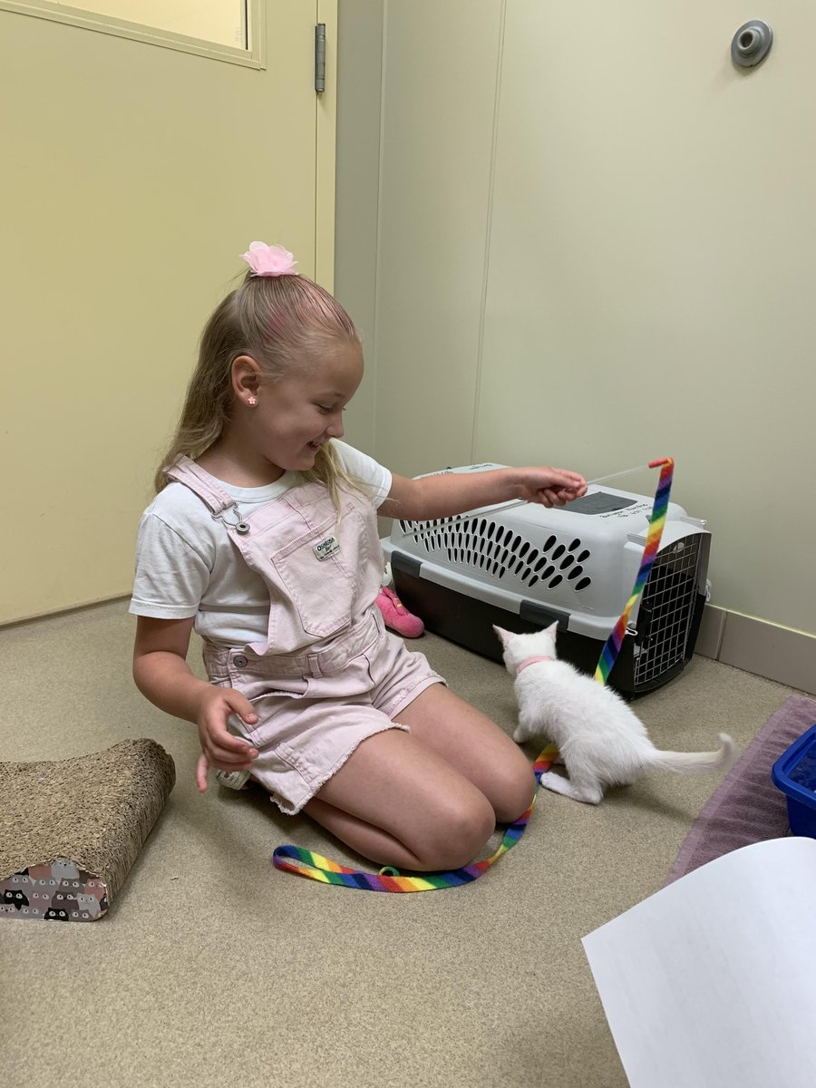 BurlHumane's tweet image. Thank you very much Harper. She raised over $500 from her lemonade stand for Burlington Humane. Thank you Harper, you are Pawsome!!