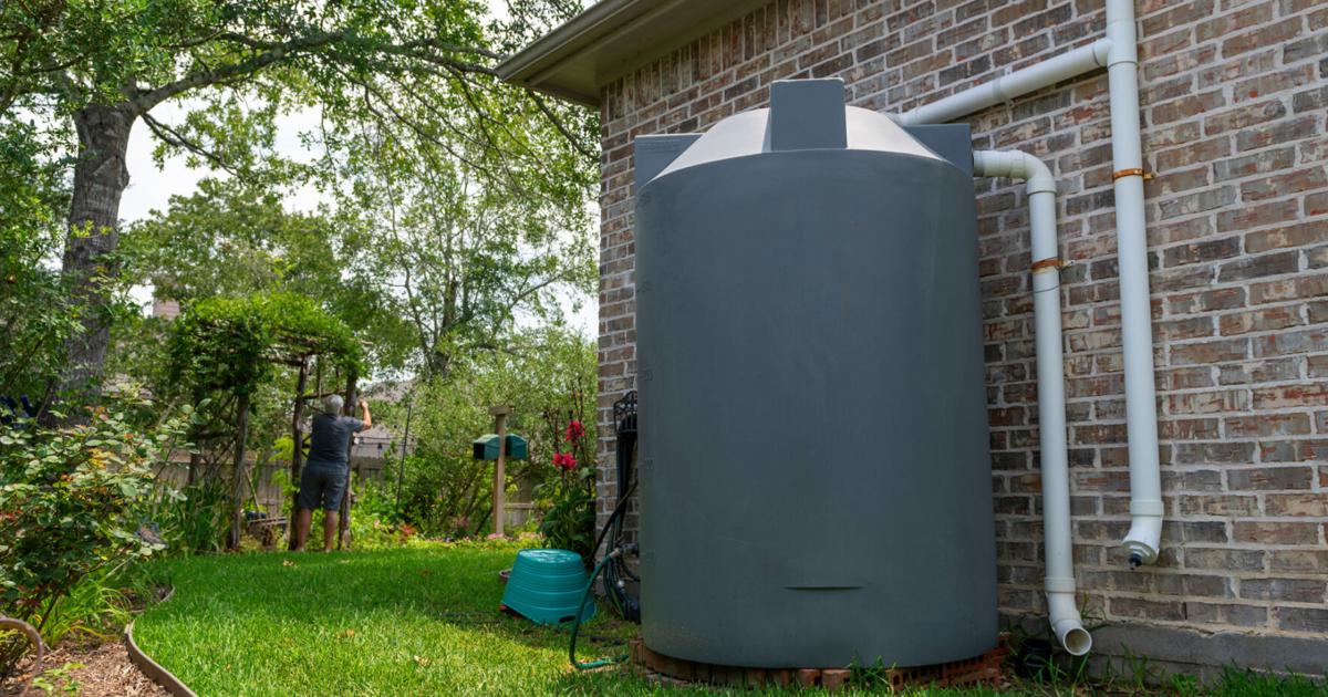 HpjWeece's tweet photo. A little can go a long way when harvesting rainwater. Beginner rainwater harvesting system tips: https://t.co/57PGBpOtXu https://t.co/rhRWNHbPX2