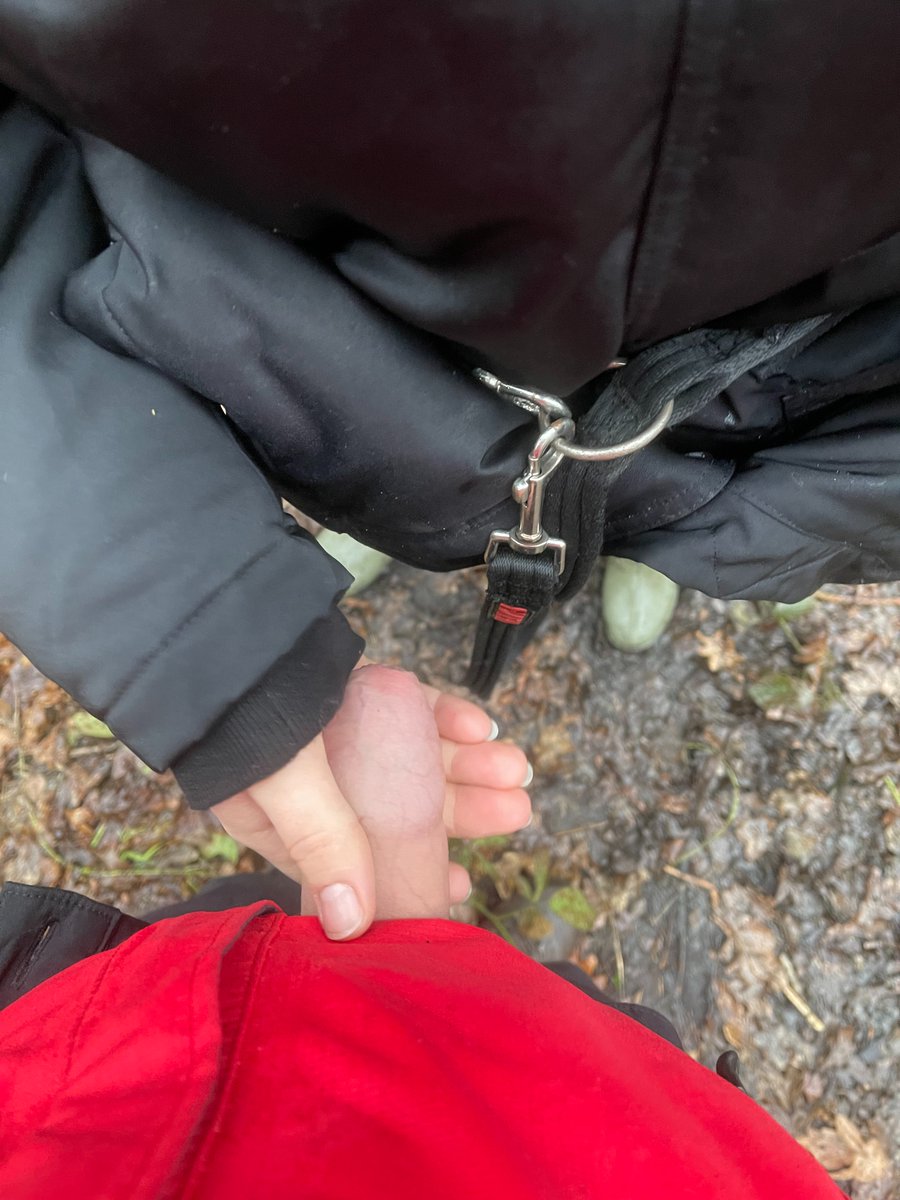 HornyNorthern84's tweet photo. I love wanking Mr off in the great outdoors. RT and like if you'd let me do the same to you! 💦 https://t.co/kSYjMztgZ9