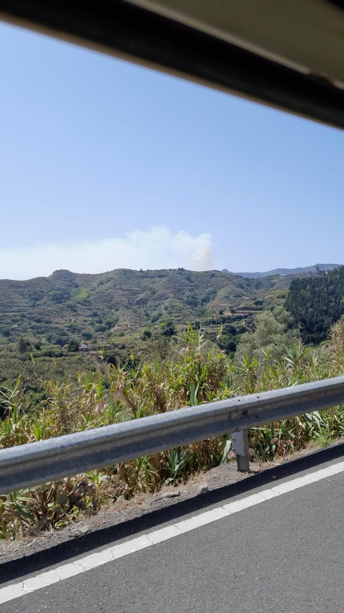 12:08⏱️local📸#IFTejeda #GranCanaria El equipo @BrifPuntagorda ya con 18🧑‍🚒#BomberosForestales #BRIF se aproxima al PMA del incendio en vehículos de @GranCanariaCab . Somos #BRIF de @mitecogob