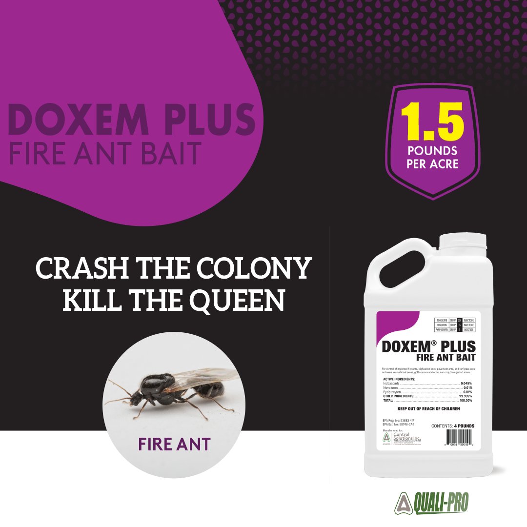 Quali_Pro's tweet photo. Dealing with fire ants can be a real nuisance. Quali-Pro’s Doxem Plus Fire Ant Bait is a powerful tool that targets their colony and  eliminates the queen, effectively putting an end to the problem. #FireAnts #BaitNWait #TurfLife #DoxemPlus
https://t.co/dTQrYr7yTM https://t.co/9iSWRbzk07