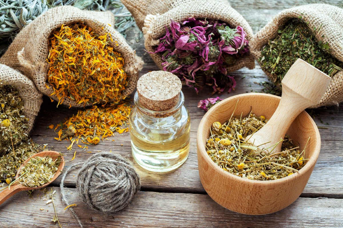 Augustus_wat's tweet photo. Join us in Dublin, Ireland for the 9th International Conference &amp; Exhibition on Herbal &amp; Traditional Medicine on October 09-10, 2023. Let's explore the role of traditional medicine in modern healthcare.  
https://t.co/I87a8bI5DL
 #herbalmedicine #conference #Dublin #Ireland https://t.co/6AlXm25bBX