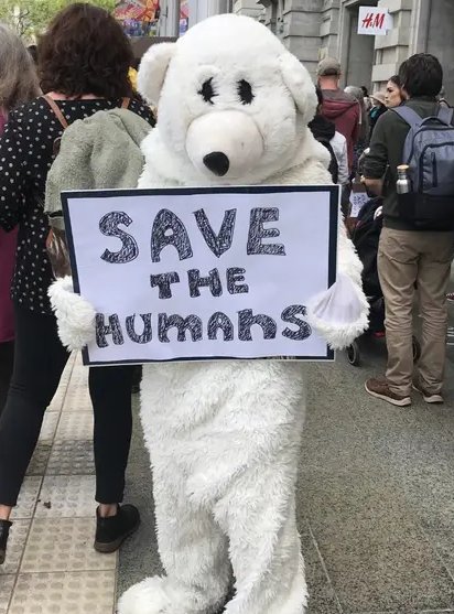 iBerry_'s tweet photo. What's happening with #ClimateChange and the #environment ? iBerry finds out by scanning over 40 blogs every single day - https://t.co/j5WWpMII6A . iBerry is nonprofit - no ads. or popups! https://t.co/qBTrfA9eYA #ClimateEducation #ClimateEmergency https://t.co/wg2azzvY2i