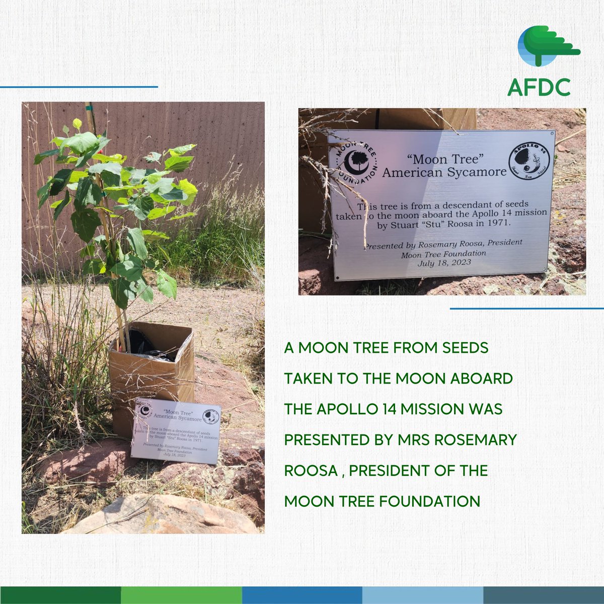 AfdcAssociation's tweet image. On July 14th, our Environmental Education Program Coordinator and Awareness Coordinator, Mrs. Siham Salman, had the incredible opportunity to attend the one-week conference, The Globe Annual Meeting, held in Denver, Colorado. 🏔️
#globeprogram #afdclebanon #environment