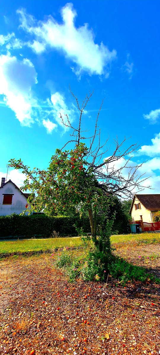 MAnaigar's tweet photo. 📍💙🤍❤️ #Lery
#France
#photo
#photography
#ePHOTOzin
#naturephotography
#magnifiquefrance #Normandie
#FranceMagique
#loveNormandie
#Photographie
#Normandy https://t.co/Zju3eIvJvZ