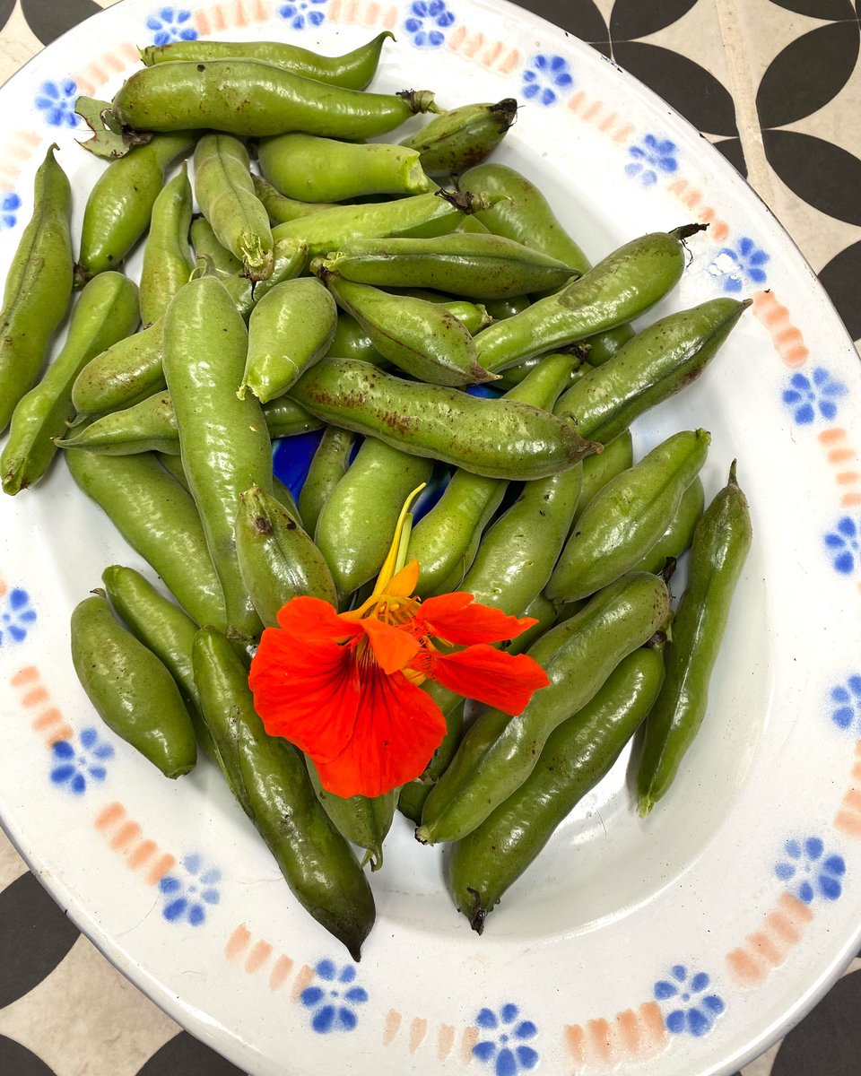 Flo Scott tweet media