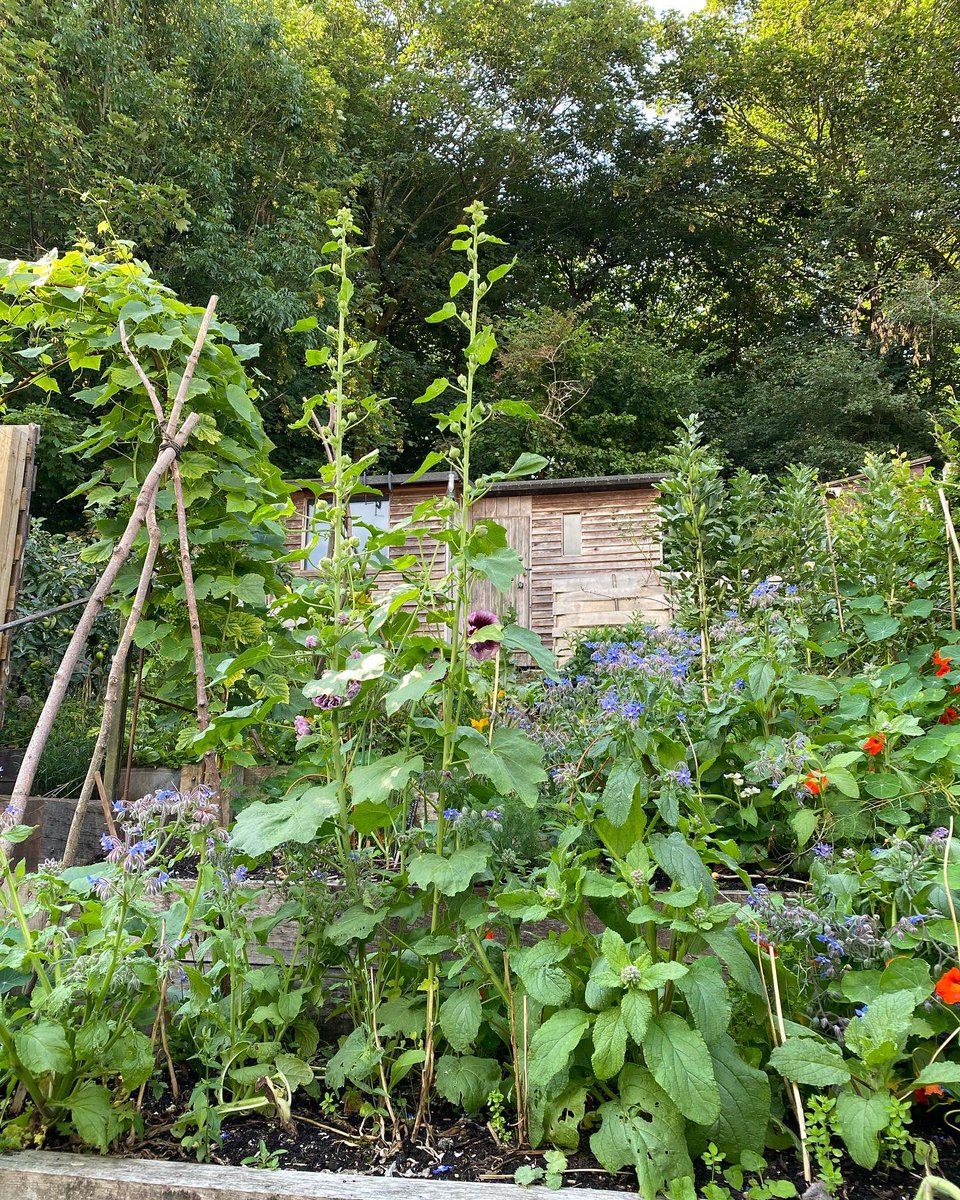 Flo Scott tweet media