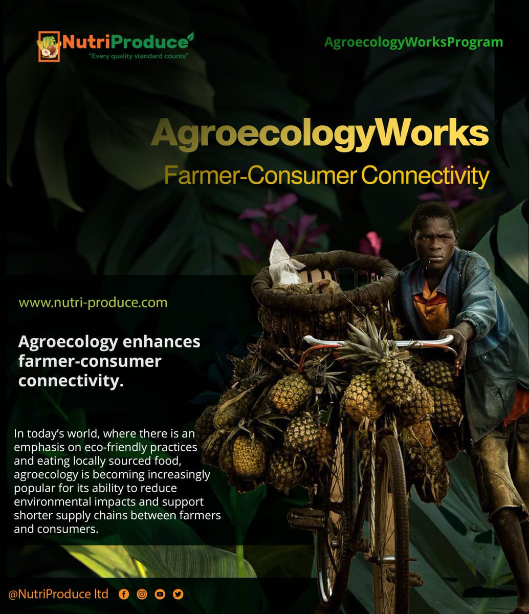 #AgroecologyWorks
🫛🥬🫒🍍🥦🌽🥕

#Agroecology and farmer-consumer connectivity are essential components of a #Sustainable and #resilient #FoodSystem. 

By fostering direct connections between farmers and consumers, #agroecology encourages #transparency, #education, and #trust in…