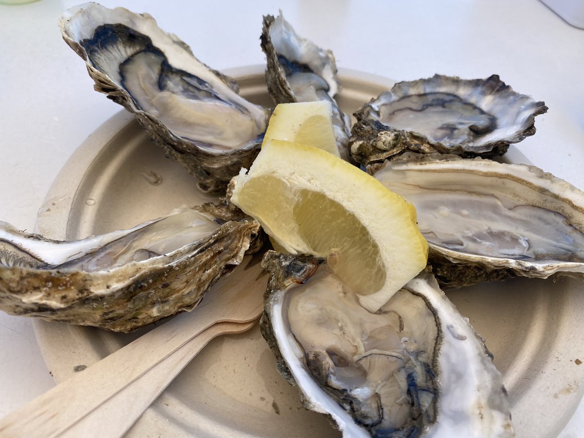 salsadechiles's tweet photo. Unas buenas ostras del Eo en la agradable terraza que @acuEo tiene frente a su zona de cultivo en la ría. Y unos mejillones en escabeche casero. Castropol. https://t.co/T7bEn3syCZ