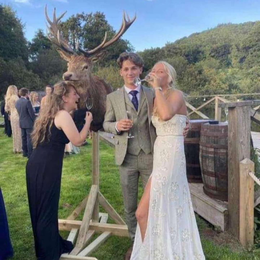 domdyer70's tweet photo. Enjoying champaign &amp; smiles in the presence of a stag that was driven to its death in terror by a pack of hounds, these people have no care or compassion for wildlife https://t.co/zobqfZ1NaY