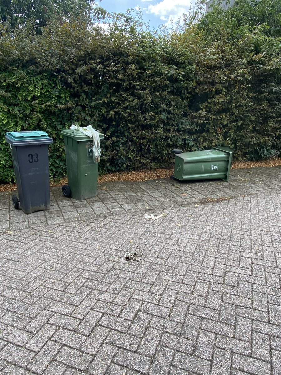 Vendorcult's tweet photo. @tweet_circulus altijd fijn als jullie de containers ‘geleegd hebben in het Anna Blamanplantsoen, maar omkijken hoe je het achterlaat ho maar. #losditop #dienstverlening #apeldoorn https://t.co/n1Ccd8ClSw