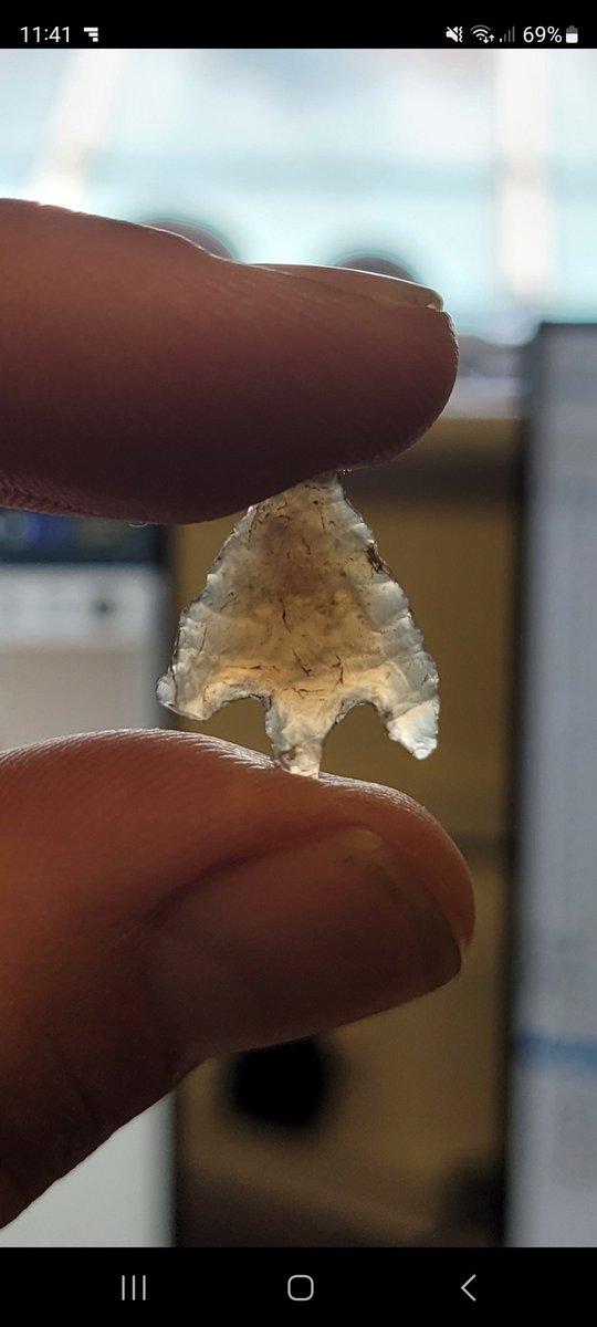 This delicate, tiny barbed &amp; tanged arrowhead was donated to Worthing Museum today. Found near to the the beautiful South Downs village of Clapham, Sussex, it is around 4000 years old.