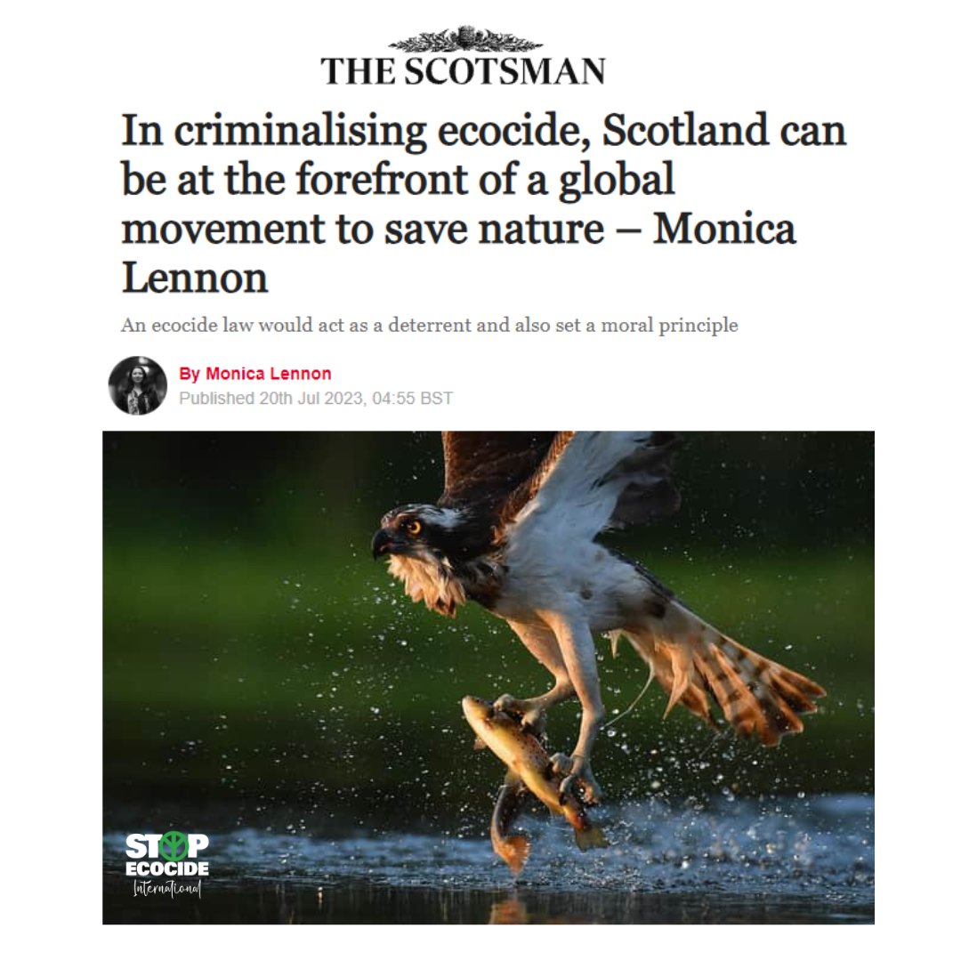 EcocideLaw's tweet photo. “This autumn, I will publish a public consultation on a law against #ecocide in Scotland.”

-  @MonicaLennon7  

Read MSP Monica :Lennon’s full @TheScotsman piece here: https://t.co/H4BPB3rqCF

#StopEcocide https://t.co/CjBsYD8Bfz