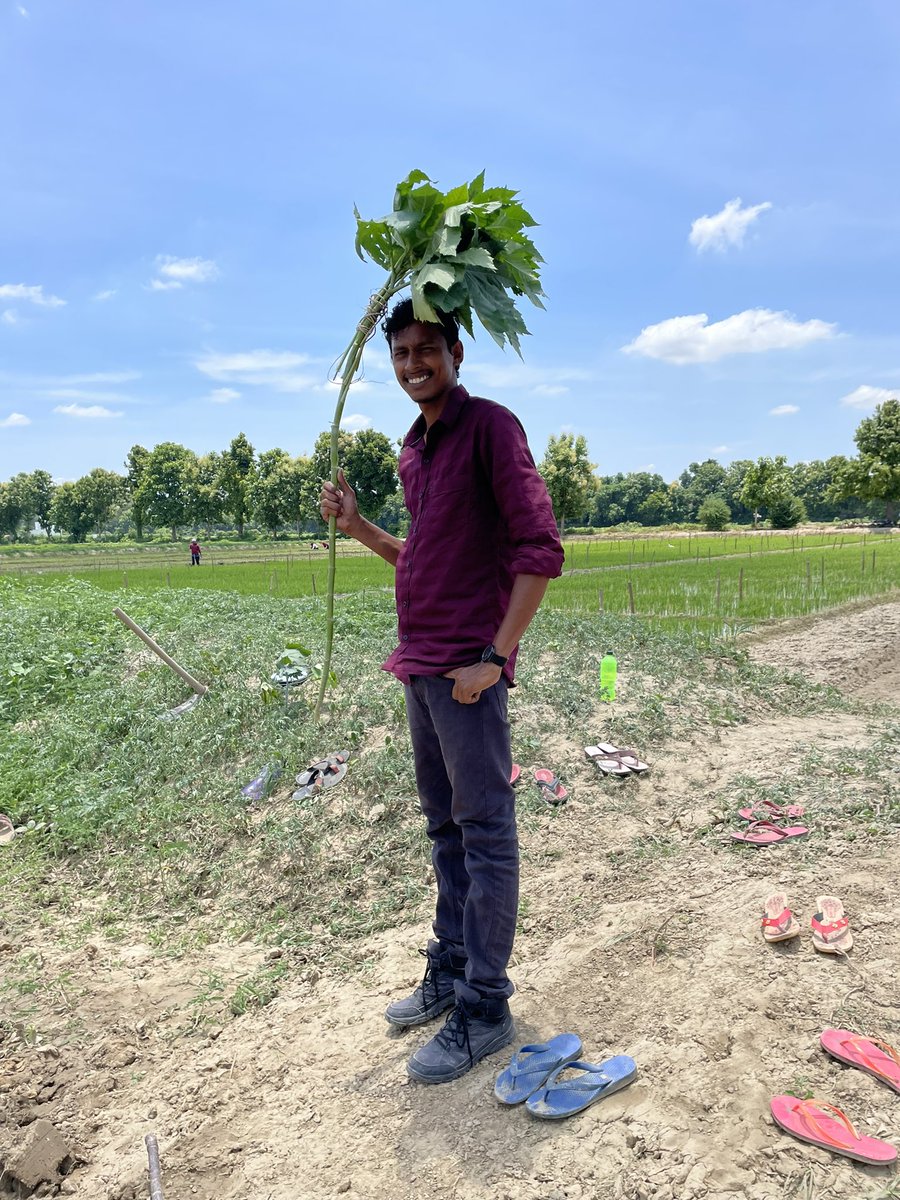 msahoo626's tweet photo. Definitely we need more plantations 🌳 

#tree #planting #Agricultura https://t.co/sFbWO53NVm