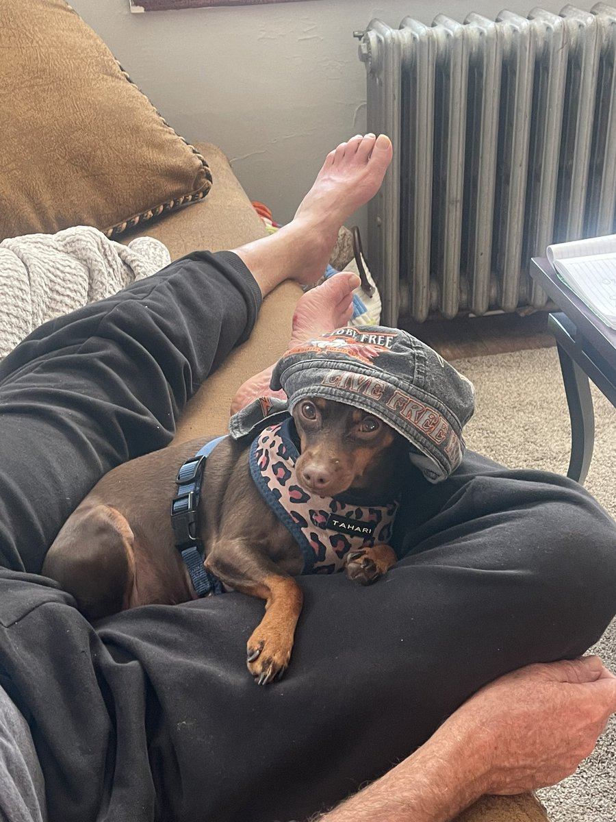 DobiDolce's tweet photo. Love her!!!! 🤪 https://t.co/7xPG4UVu91