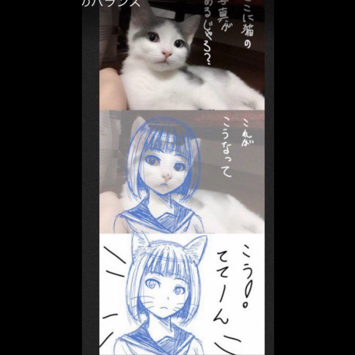 IDontThinkSo_EH's tweet photo. You can’t unsee it😹 https://t.co/5vYBRKM6gI