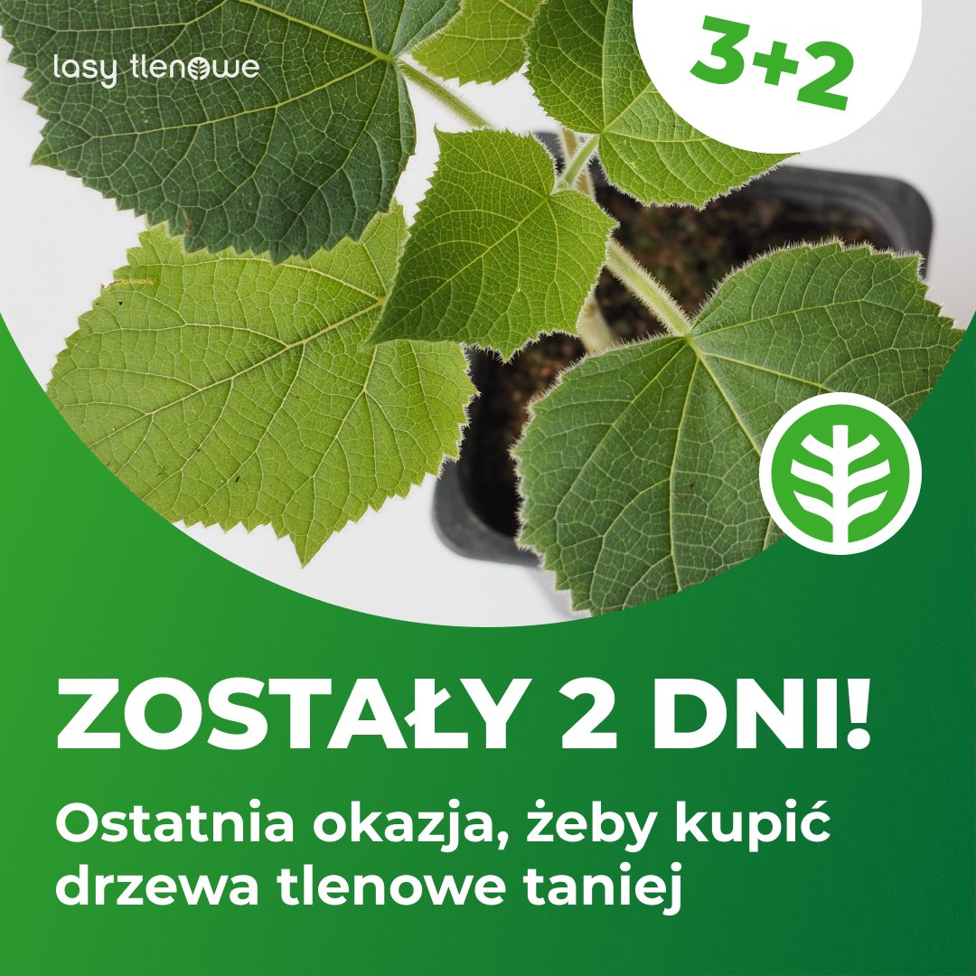 Zostały już tylko 2 dni, żeby zamówić drzewo tlenowe w tym sezonie! 🌳

W piątek skończymy przyjmować zamówienia na sadzonki, a to oznacza również koniec promocji 3+2 😮

Nie przegap okazji i zamów sadzonkę teraz 👉 oxytree.pl/product/oxytre…

#drzewa #drzewatlenowe #natura #ogród