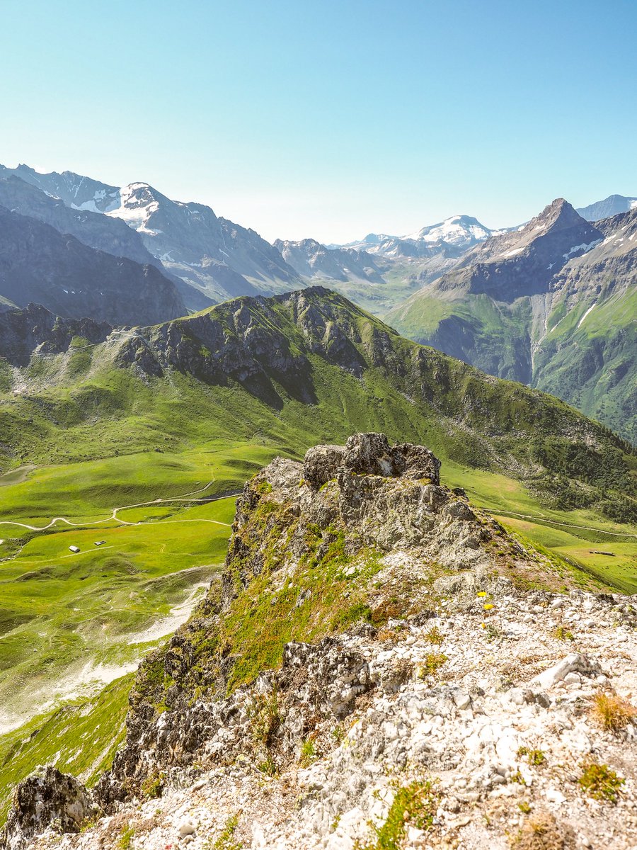 $antoine tweet media