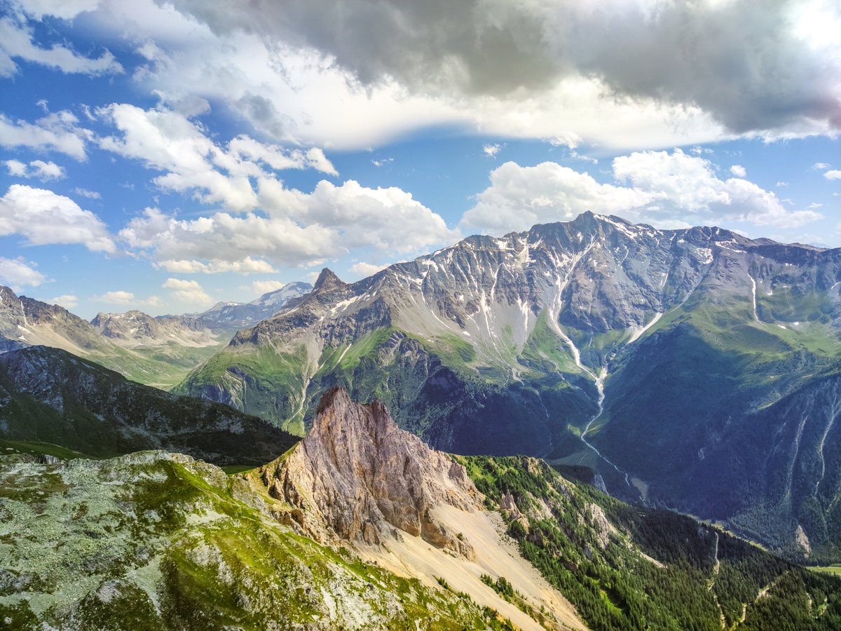 $antoine tweet media