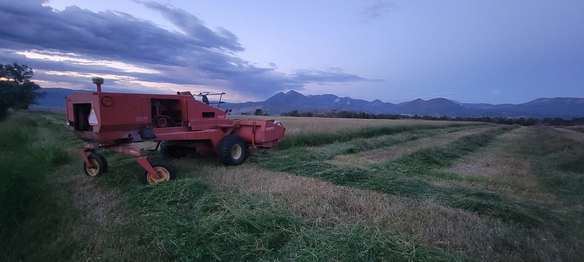 JasonWrich's tweet photo. Layed it down until dark. My vintage 6450 Heston MoCo is running like a sewing machine. Hopefully, I'll lay down another 40 acres tomorrow. @beefinitiative #cowchow #trustyrusty #KnowYourRancher https://t.co/BFuvBXCtOR